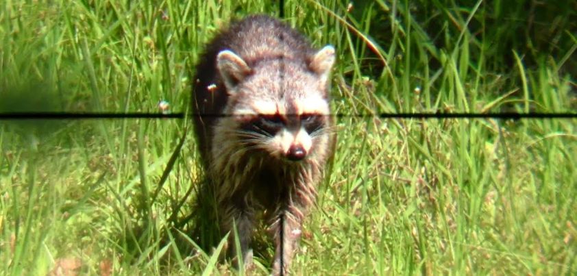 The 400-Pound CEO: Short story by George Saunders