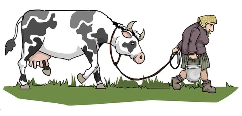 Ann and the Cow: Quick Read by Johannes V. Jensen