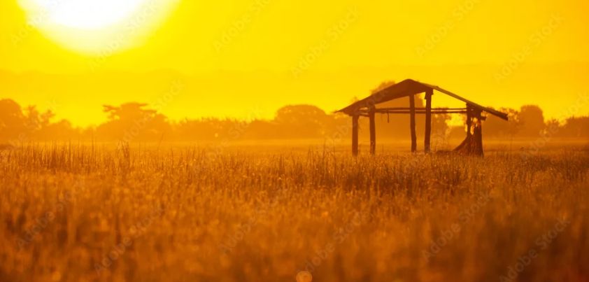 As If It Had Never Happened: Short story by Witthayakon Chiangkun