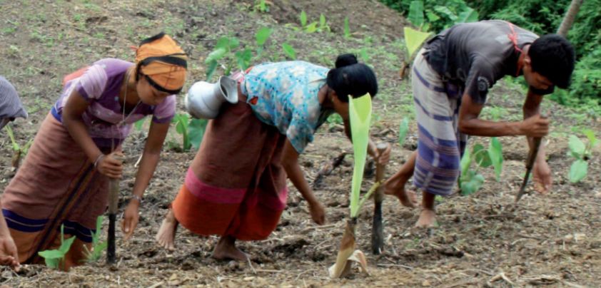 Children of the Ash-Covered Loam: Short story by N. V. M. Gonzalez