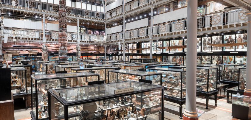 At the Pitt-Rivers: Short story by Penelope Lively