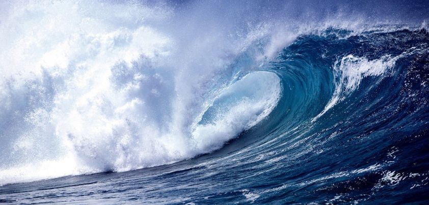 average-waves-in-unprotected-waters-by-anne-tyler-shortsonline