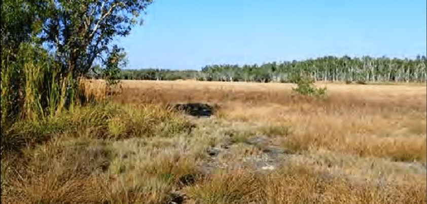 Blacksoil Country: Short story by David Malouf