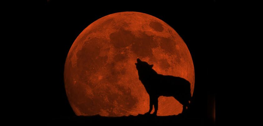 Blood-Burning-Moon by Jean Toomer | shortsonline