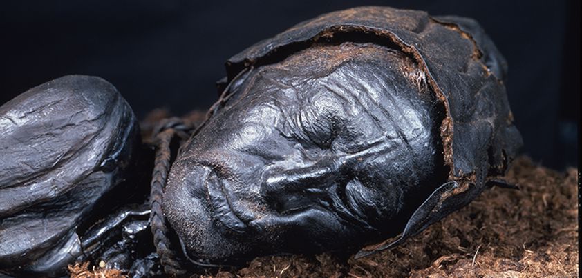 The Bog Man: Short story by Margaret Atwood