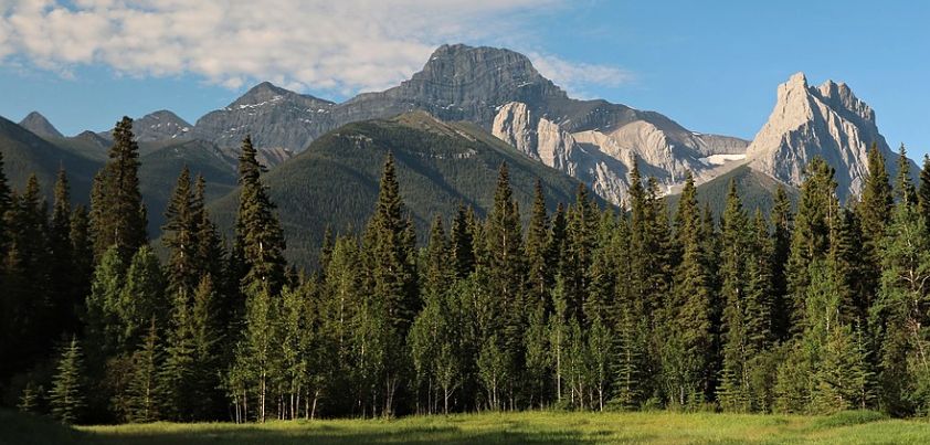 Brokeback Mountain: Short story by Annie Proulx