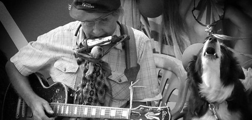 The Busker: Short story by Paul Jennings