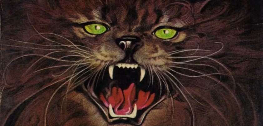 The Cat from Hell: Short story by Stephen King