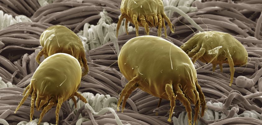 Clean Sweep: Short story by Jane Bauer