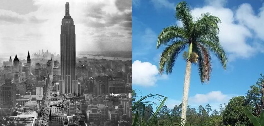 To Da-duh In Memoriam: Short story by Paule Marshall