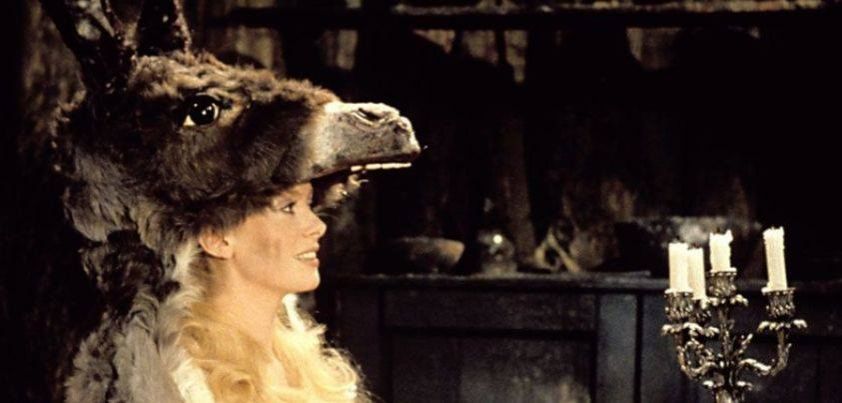 Donkey Skin: French folktale from Charles Perrault