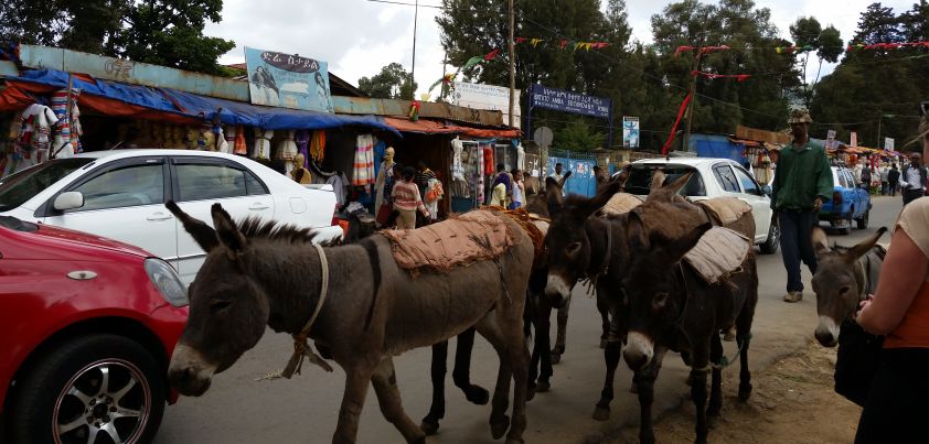 Don't Cry: Short story by Mary Gaitskill