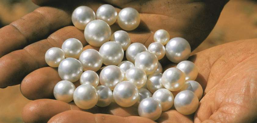 Seventh Grade: Short story by Gary Soto