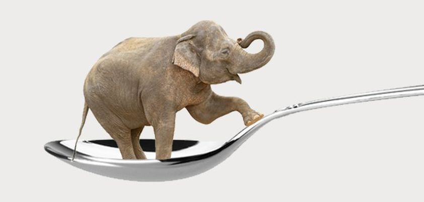 The Elephant Vanishes: Short story by Haruki Murakami