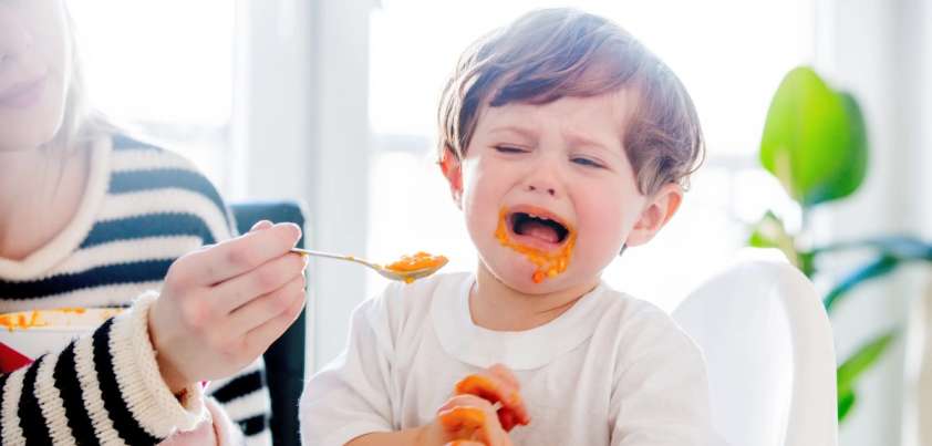 Filboid Studge: Short story by H. H. Munro (Saki)