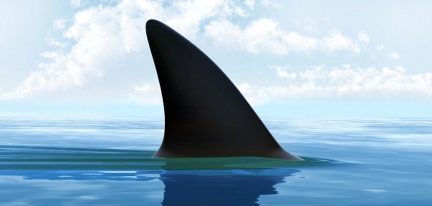 Ghost of the Lagoon: Short story by Armstrong Sperry