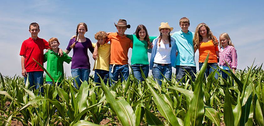 Good Country People: Short story by Flannery O'Connor