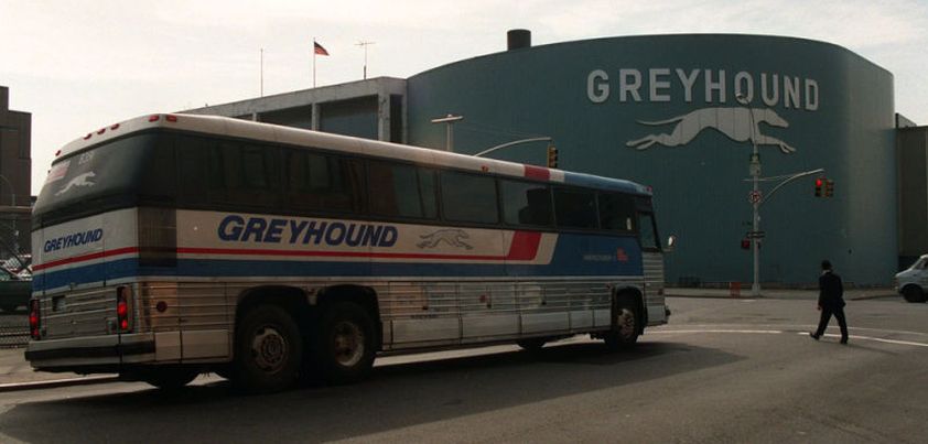 Greyhound People: Short story by Alice Adams