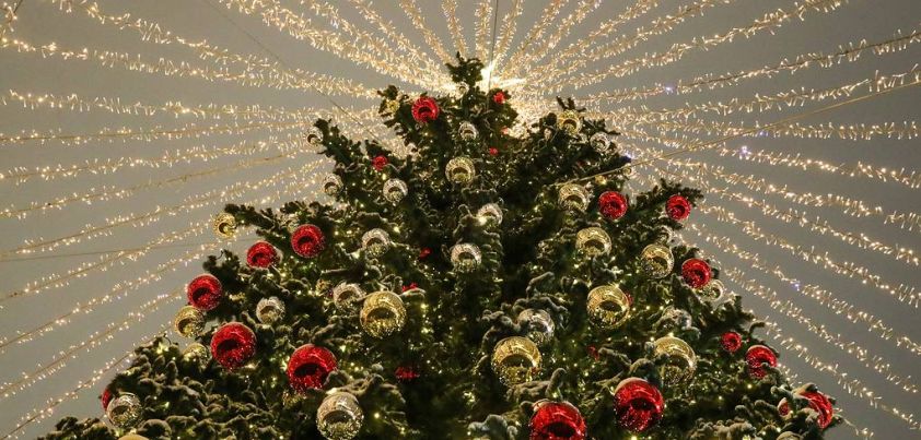 The Heavenly Christmas Tree: Short story by Fyodor Dostoevsky