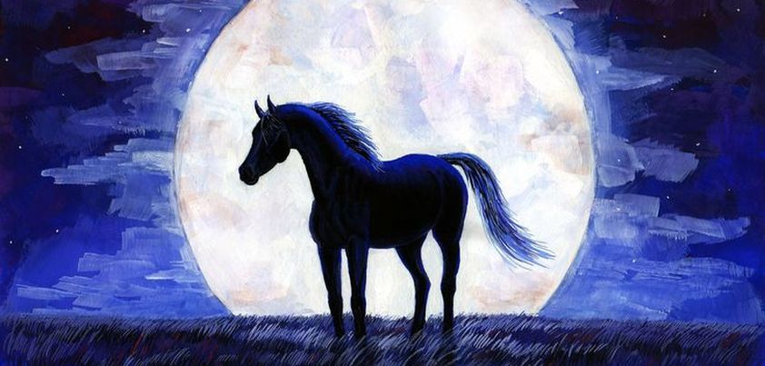 A Horse in the Moon: Short story by Luigi Pirandello