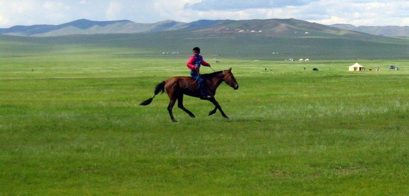 How Much Land Does a Man Need?: Short story by Leo Tolstoy