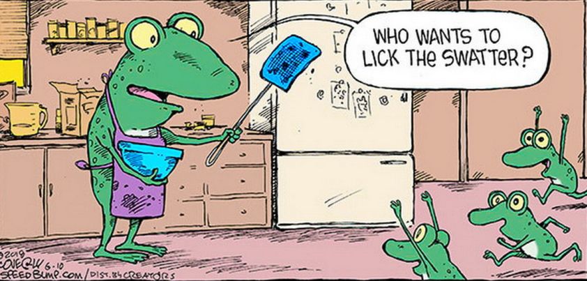 Licked: Short story by Paul Jennings