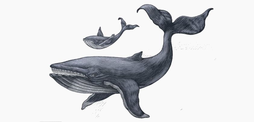 Little Whale, Varnisher of Realitye: Short story by Vasily Aksyonov