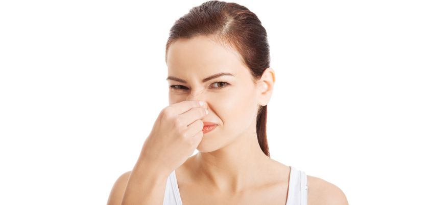 Luba: Short story by Lily Brett