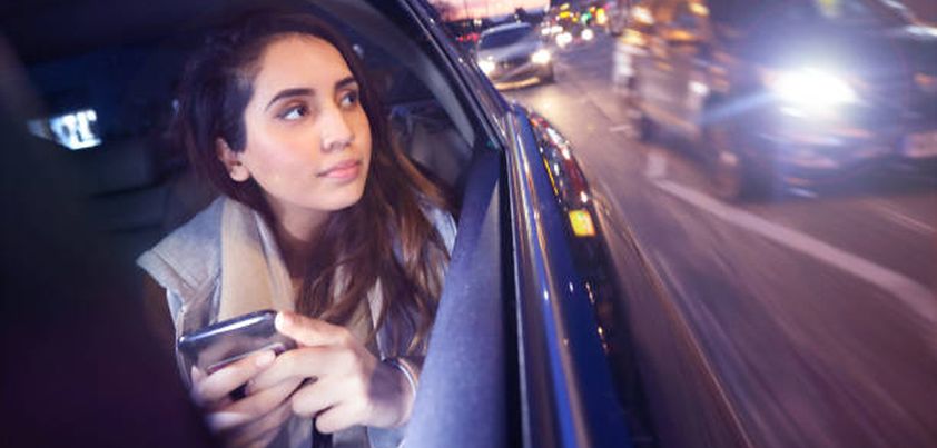 Meeting Mrinal: Novelette by Chitra Banerjee Divakaruni