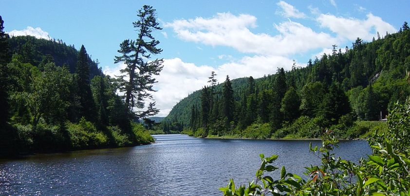 Meneseteung: Short story by Alice Munro