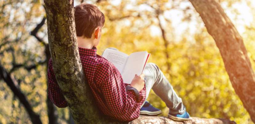 Monkeyman: Short story by Walter Dean Myers