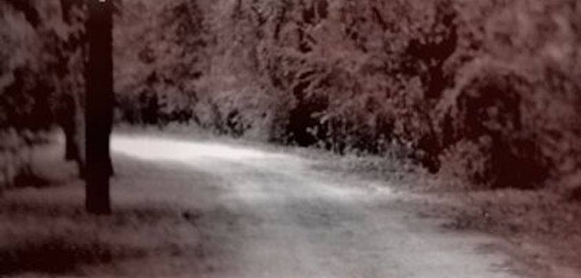 The Moonlit Road: Short story by Ambrose Bierce