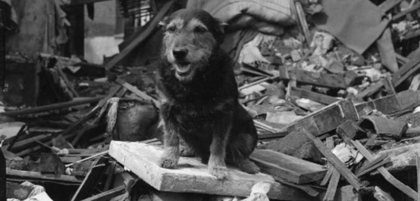 Muffin: Short story by Susan Cooper