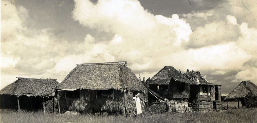 Native Land / Lupang Tinubuan: Short story by Narciso G. Reyes