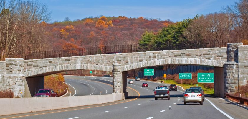 On the Bridge: Short story by Todd Strasser