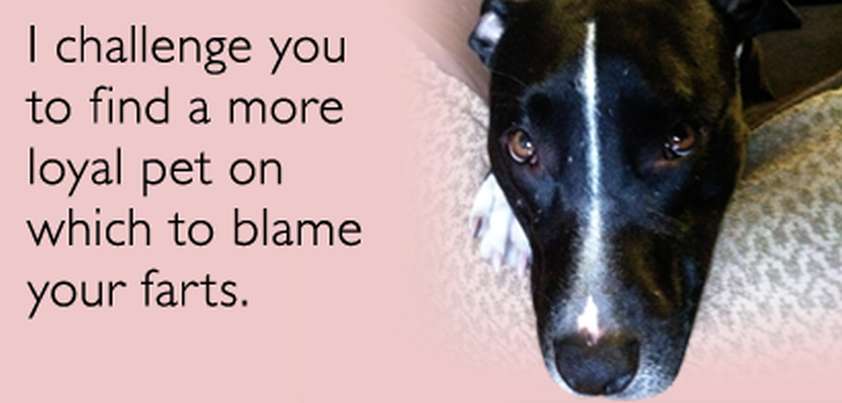 Passing Wind: Flash story by Lydia Davis