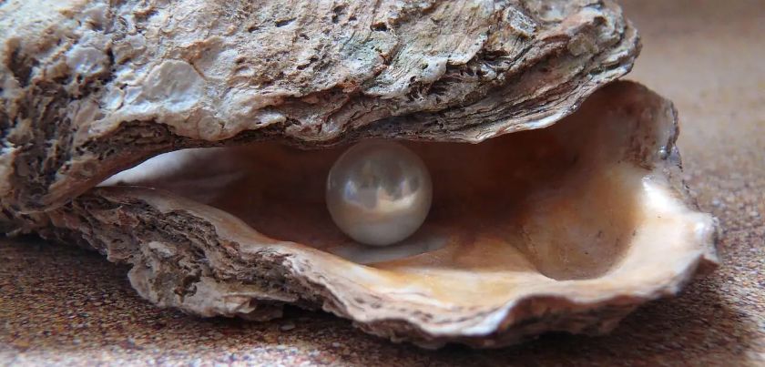 The Pearl: Short story by John Steinbeck