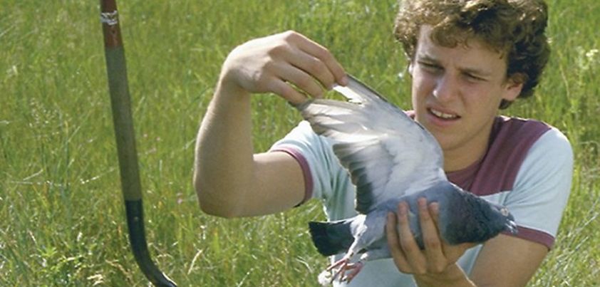 Pigeon Feathers: Short story by John Updike