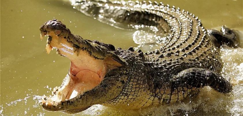 Poonek: Short story by Lim Beng Hap