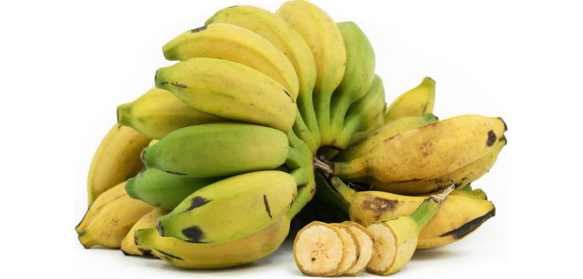 Poovan Pazham Short story by Vaikam Muhammad Basheer