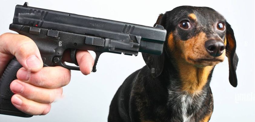 The Red Bow: Short story by George Saunders