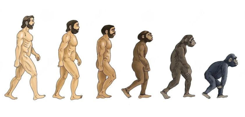 The Rememberer: Short story by Aimee Bender