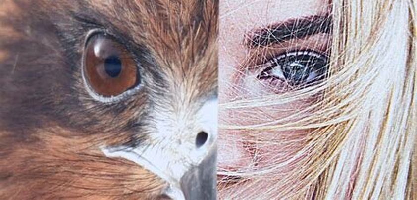 The Sailor-Boy’s Tale: Short story by Isak Dinesen