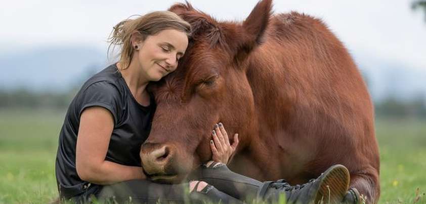 The Secret Room: American / German folktale from Emelyn Gardner