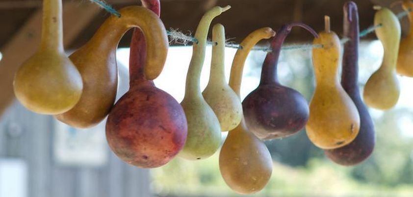 Seibei and His Gourds (The Artist): Short story by Shiga Naoya