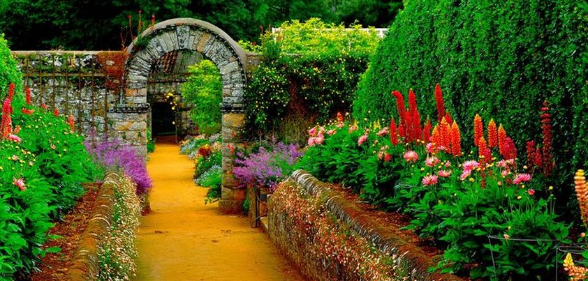 The Serial Garden: Short story by Joan Aiken