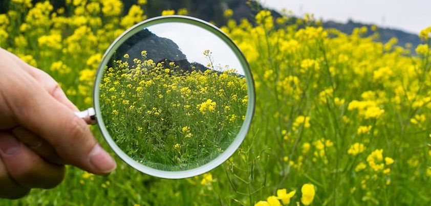 I Could See the Smallest Things: Short story by Raymond Carver