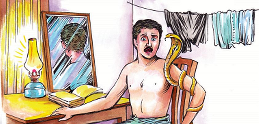 The Snake and the Mirror: Short story by Vaikom Muhammad Basheer