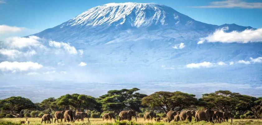 The Snows of Kilimanjaro: Novelette by Ernest Hemingway