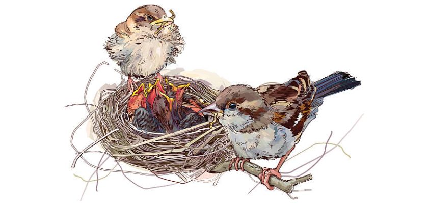 The Sparrows: Short story by K. A. Abbas